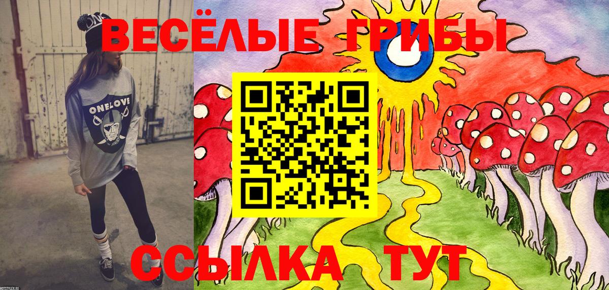 Галлюциногенные грибы Cubensis  Вход с VPN  Псилоцибиновые грибы GOLDEN TEACHER  Богородицк 