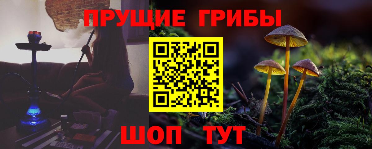 Псилоцибиновые грибы Psilocybe Богородицк